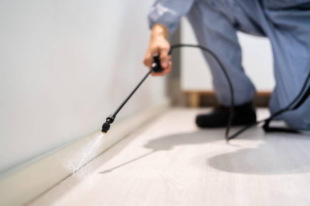 Licensed Mosquito Control service in Vienna, VA - Show Me Pest Control
