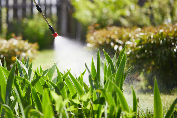 24/7 Emergency Mosquito Control experts in Vienna, VA