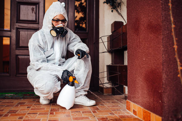Reliable Mosquito Control contractor in Vienna, VA by Show Me Pest Control