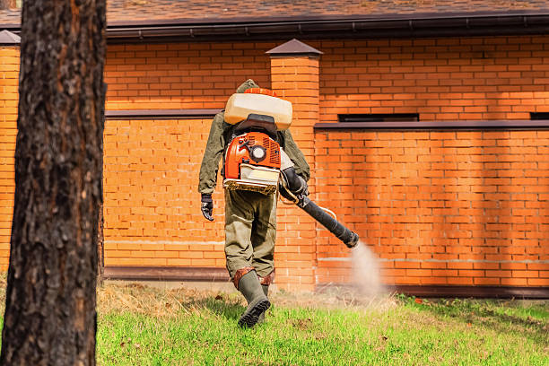 Top rated local Mosquito Control specialists in Vienna, VA